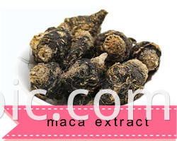 Health food Natural Man enhancemet 5:1 10:1 20:1 Maca extract powder